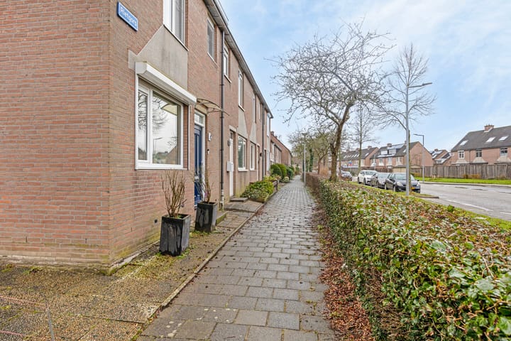 Foto 13 van Rietgors 11