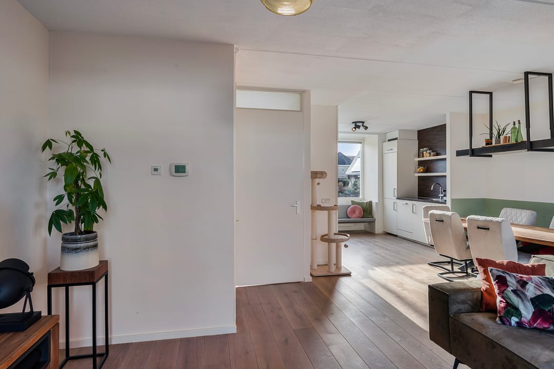 Foto 13 van Capri 40