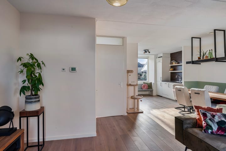 Foto 13 van Capri 40