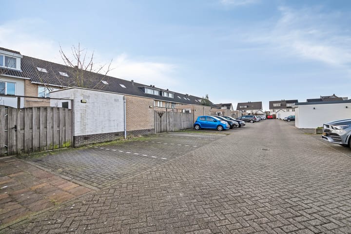 Foto 22 van Capri 40