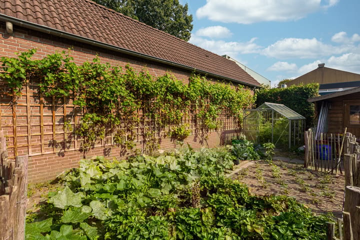 Foto 31 van Willaertstraat 46