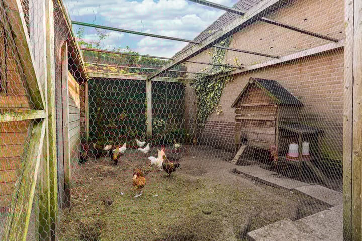 Foto 32 van Willaertstraat 46