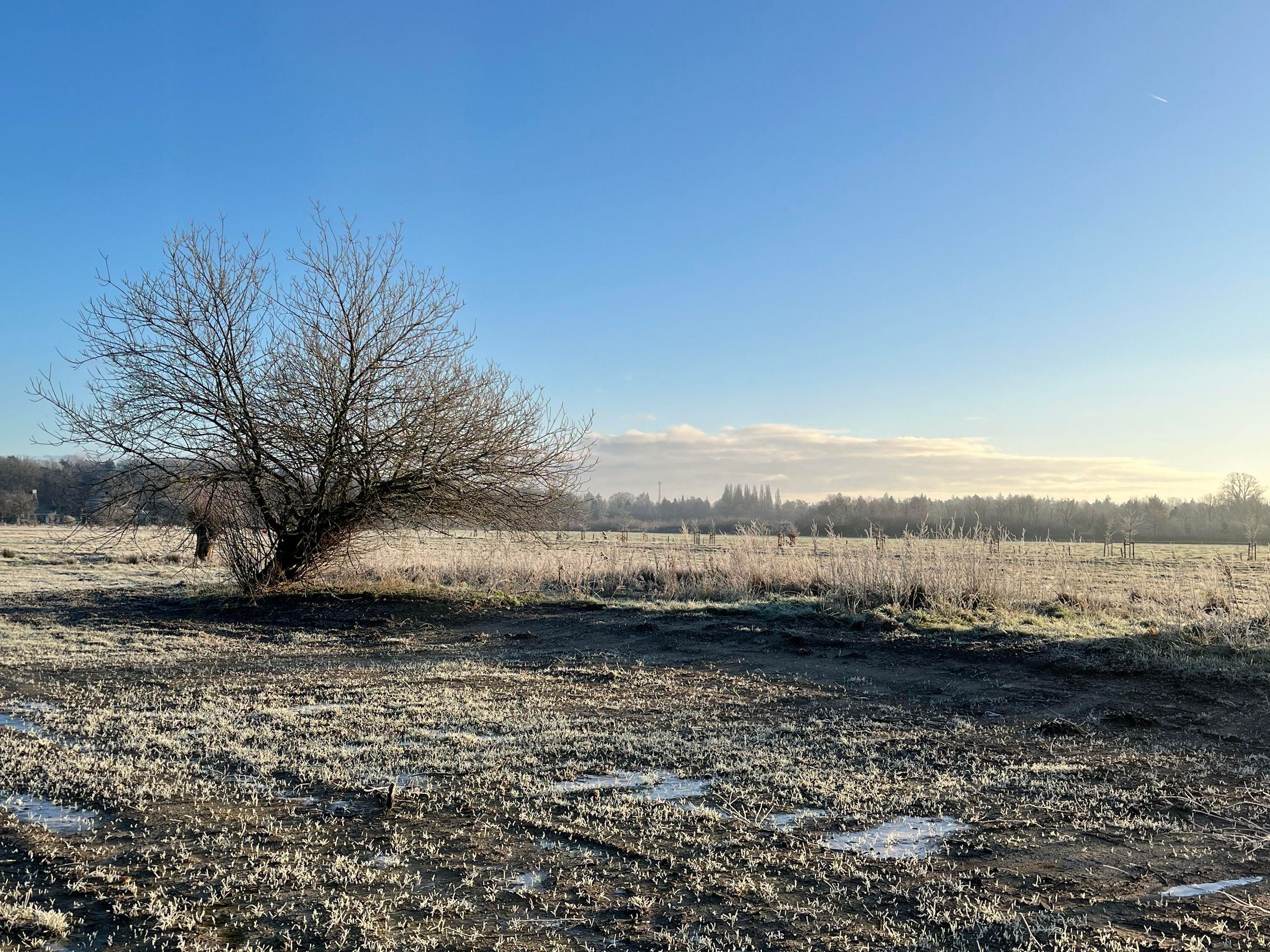 Foto 9 van Sterkenburgerlaan 93