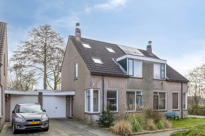 Foto 1 van Havikskruid 27