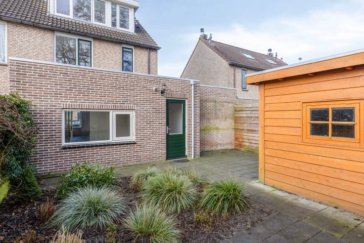 Foto 5 van Havikskruid 27