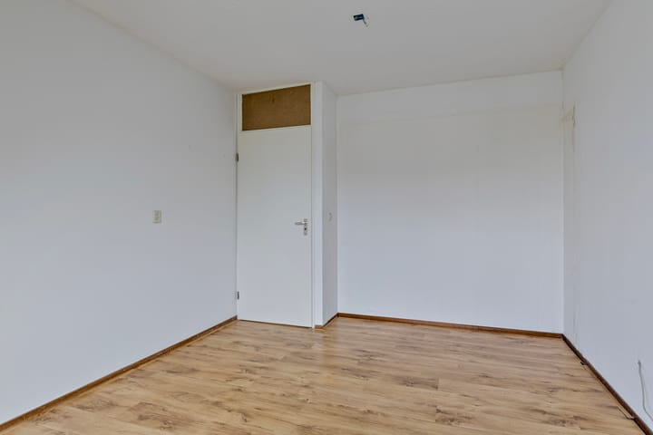 Foto 19 van Havikskruid 27