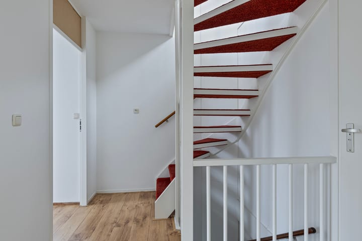 Foto 24 van Havikskruid 27