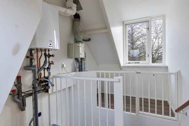 Foto 25 van Havikskruid 27