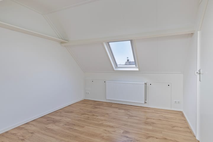 Foto 26 van Havikskruid 27