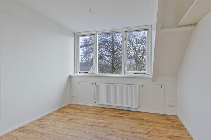 Foto 27 van Havikskruid 27