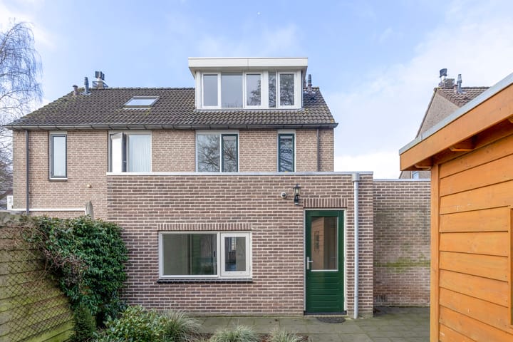 Foto 28 van Havikskruid 27