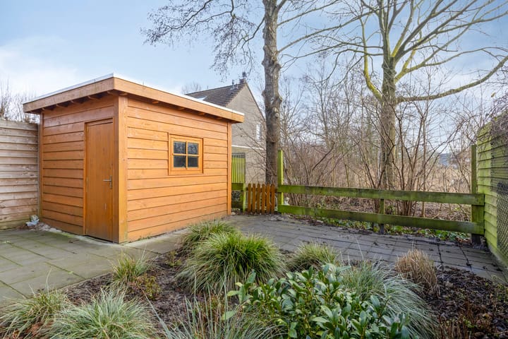 Foto 30 van Havikskruid 27