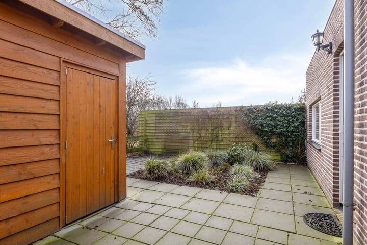 Foto 31 van Havikskruid 27