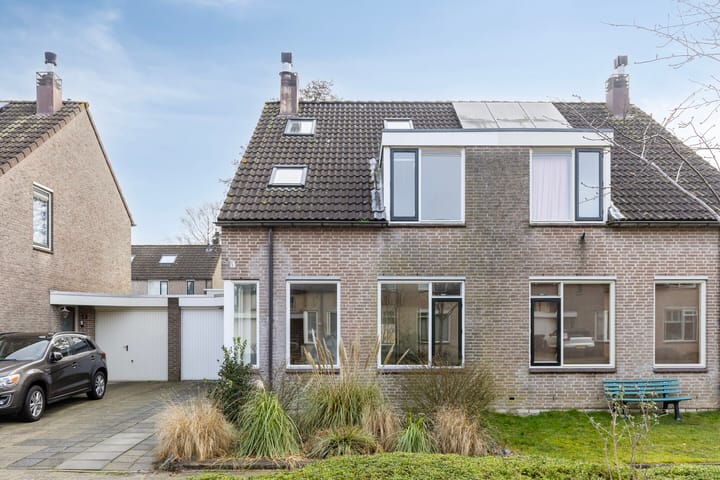 Foto 33 van Havikskruid 27