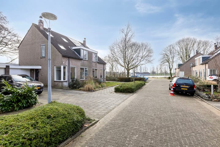 Foto 35 van Havikskruid 27