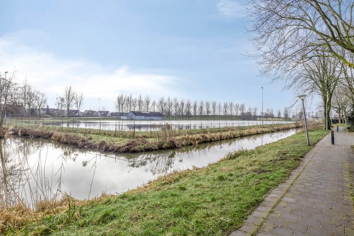 Foto 37 van Havikskruid 27