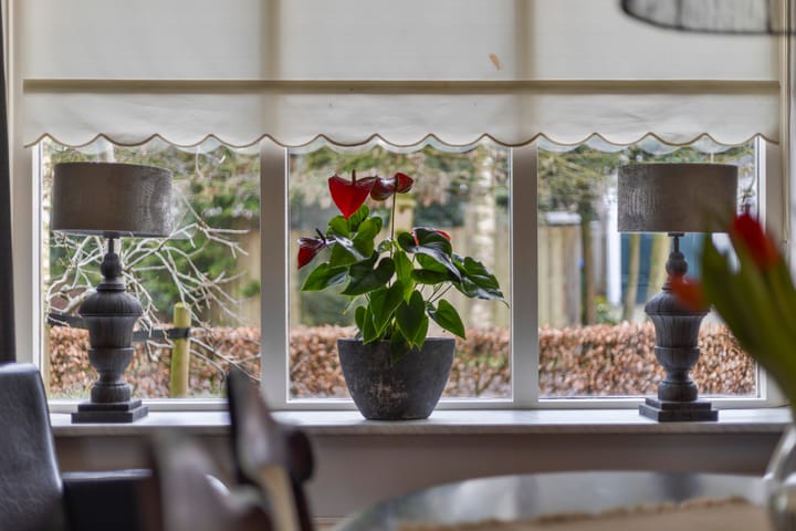 Foto 10 van De Kweek 15