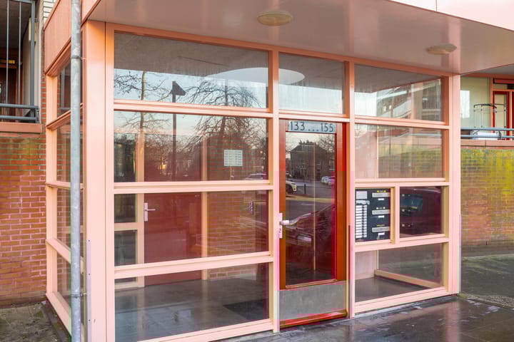 Photo 18 of Plantage 151