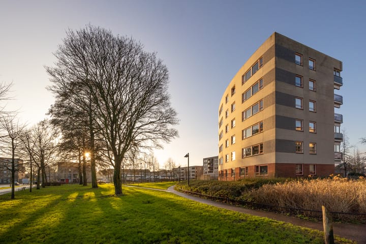 Photo 19 of Plantage 151