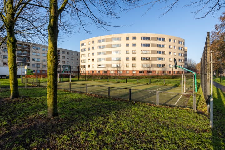 Photo 20 of Plantage 151