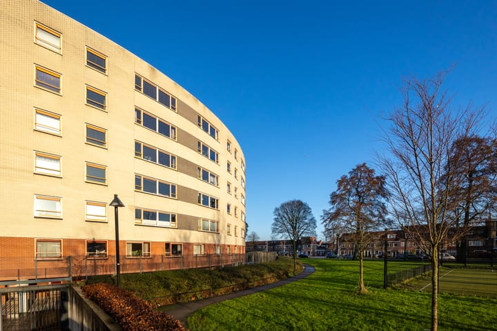 Photo 21 of Plantage 151