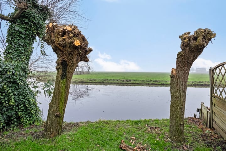 Foto 42 van Gruttostraat 5