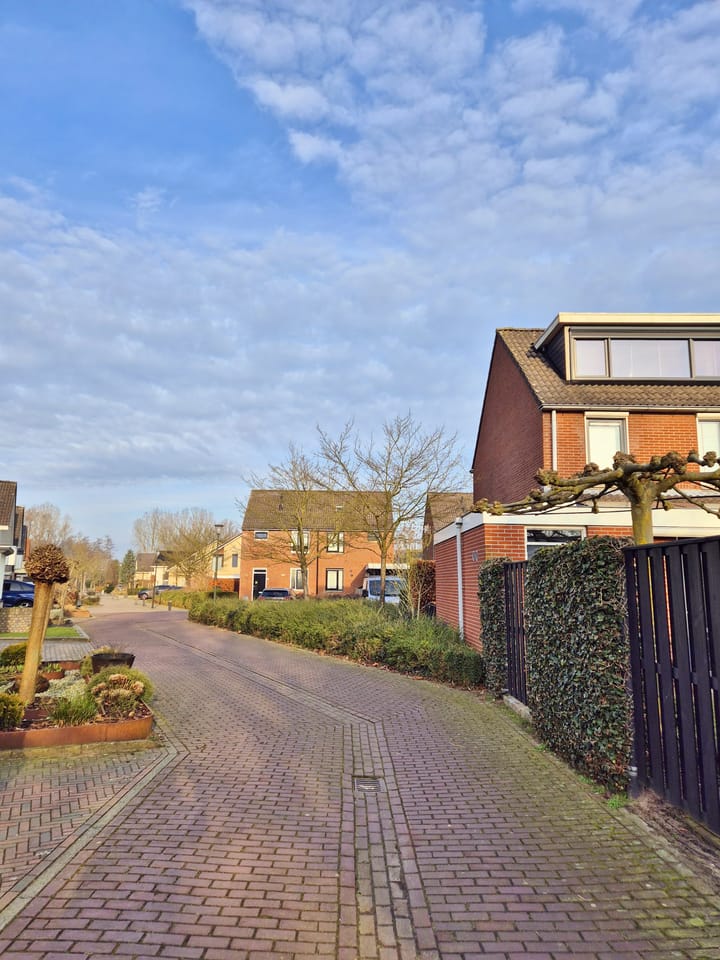 Foto 3 van Chrysantstraat 44