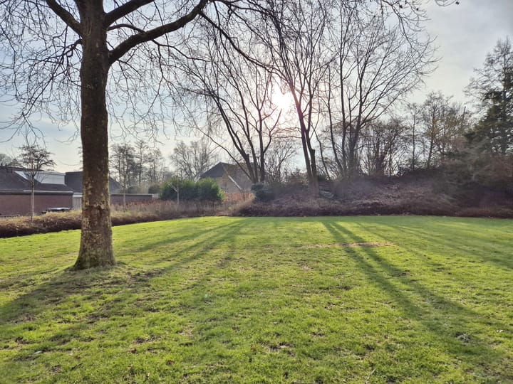 Foto 4 van Chrysantstraat 44