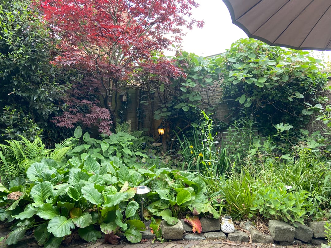 Foto 37 van Kastanjelaan 48