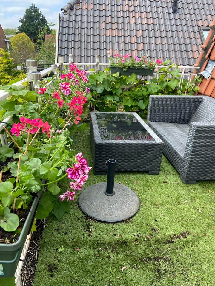 Foto 39 van Kastanjelaan 48