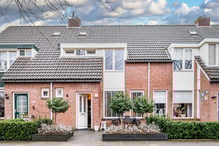 Foto 1 van Evert Reddersland 11