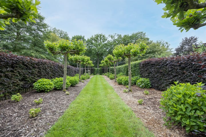 Foto 94 van Vagevuurstraat 12