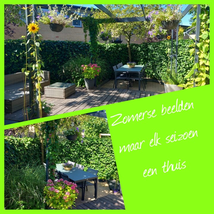 Foto 15 van Karl Millöckerhof 20