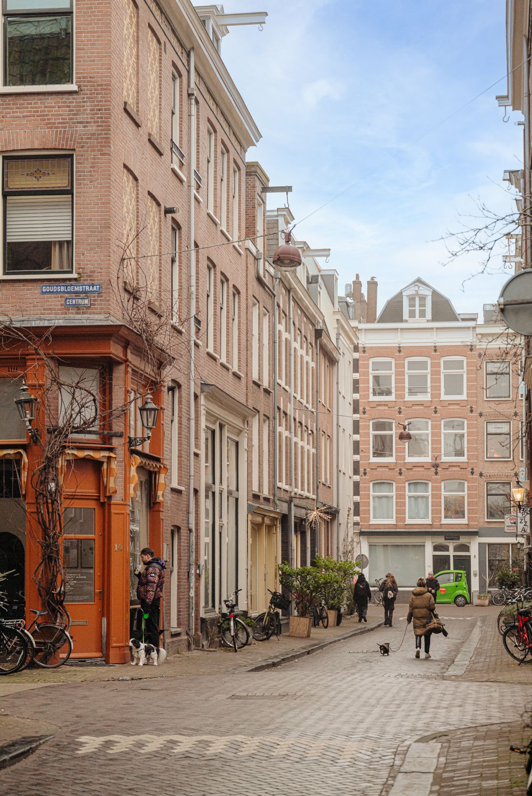 Photo 22 of Eerste Goudsbloemdwarsstraat 15-A3