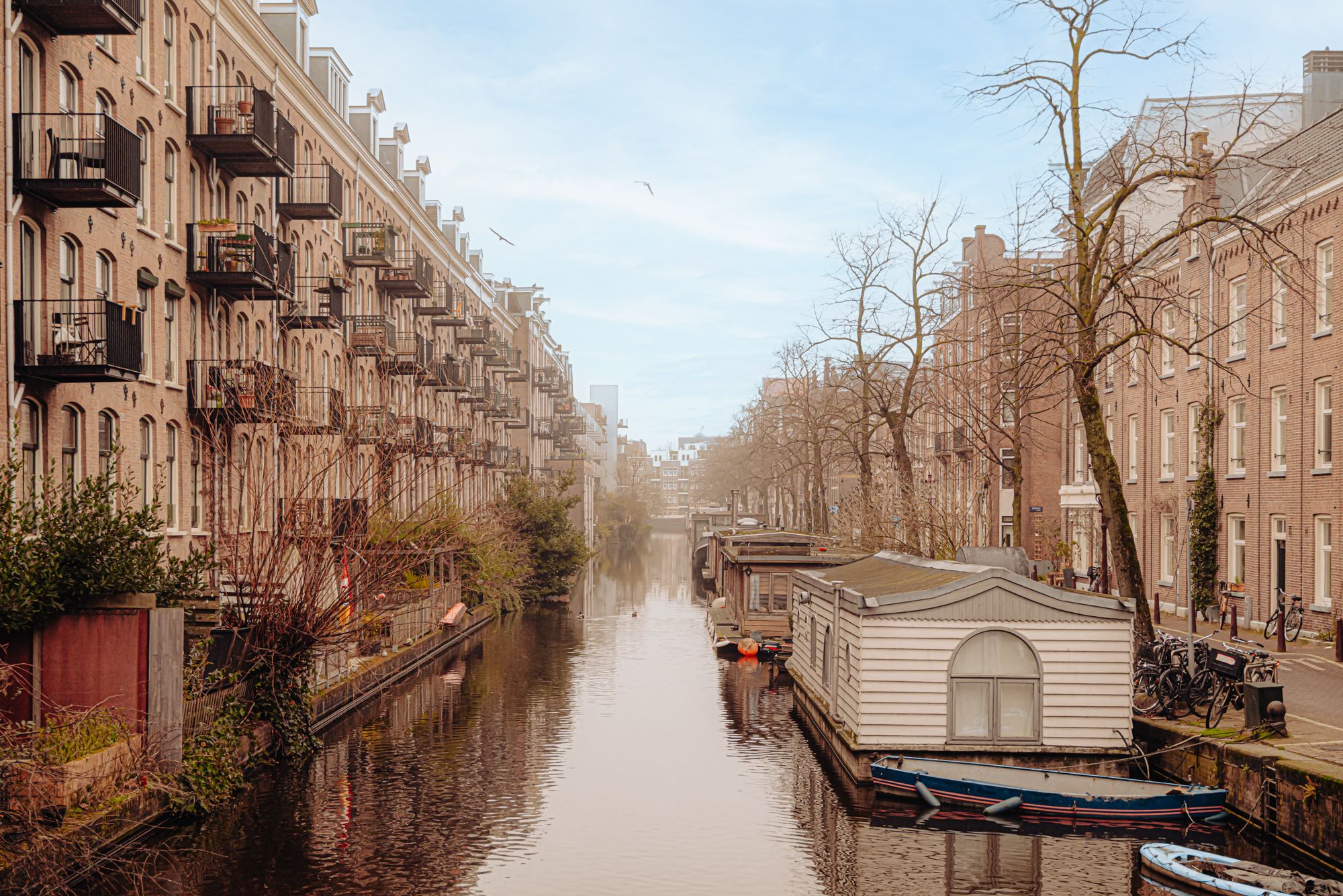 Photo 24 of Eerste Goudsbloemdwarsstraat 15-A3