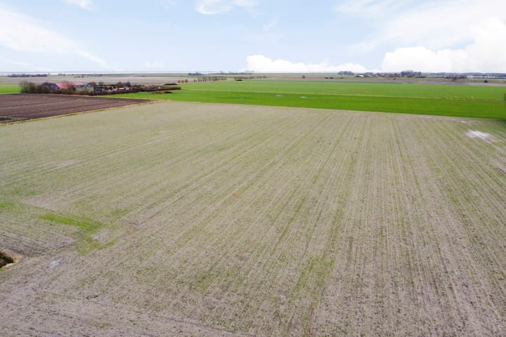 Foto 24 van Zuidweg 27