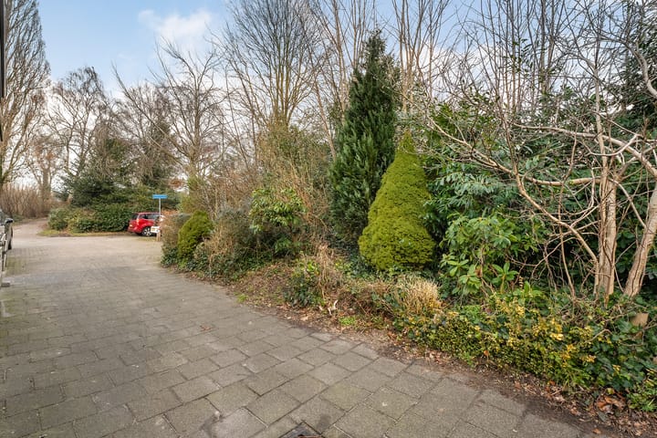 Foto 6 van Mokkenland 46