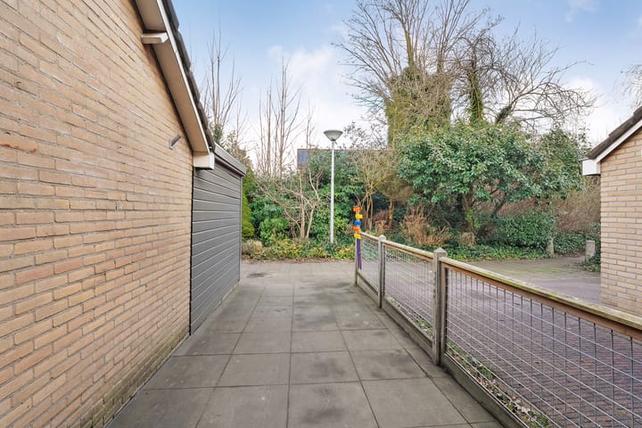 Foto 7 van Mokkenland 46