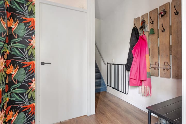 Foto 9 van Mokkenland 46