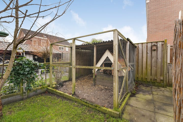 Foto 39 van Mokkenland 46