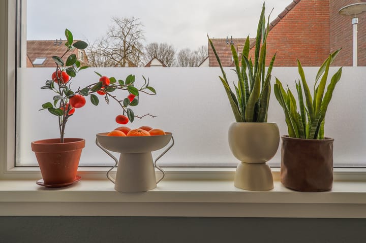 Photo 16 of Molshoefweer 5