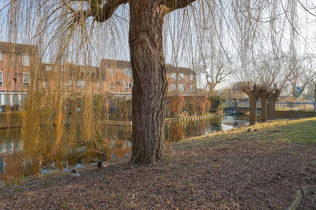 Foto 38 van Molshoefweer 5