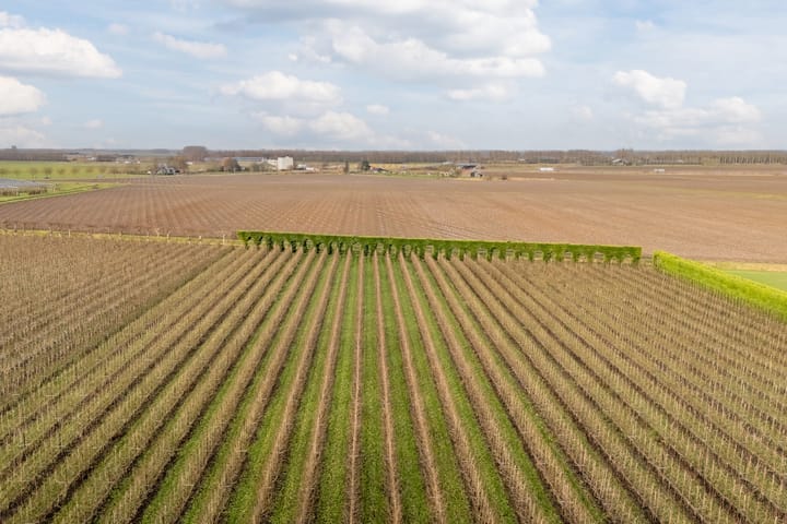 Foto 48 van Afgeslechtedijk 41