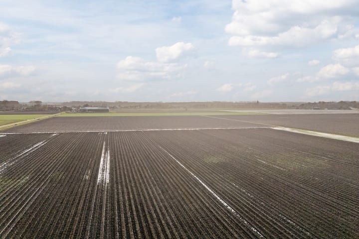 Foto 49 van Afgeslechtedijk 41