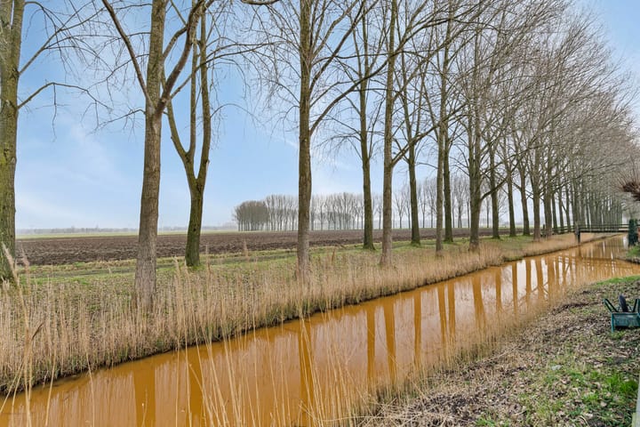 Foto 29 van Keizersdam 119