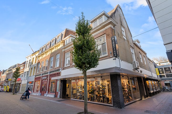 Hoogstraat 81