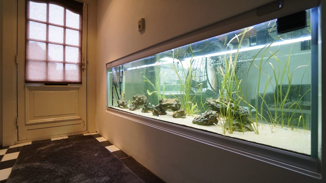 Photo 38 of Rozengaard 15 11