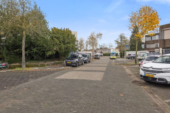 Foto 39 van Haagbeemd 39