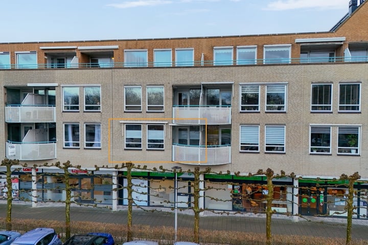Foto 1 van Zuidplaslaan 458