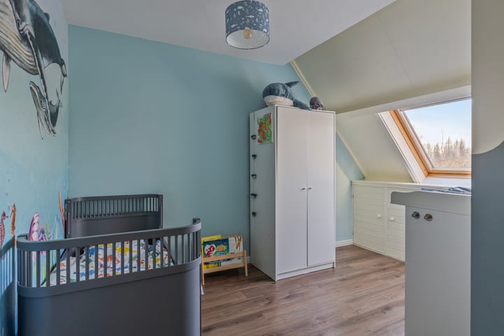 Foto 45 van Goudvink 5